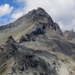 grand tournalin