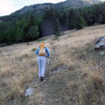 verso il bosco