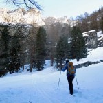 slargo nel bosco