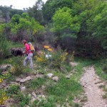 2-bivio-quota-981