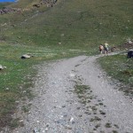 bivio-quota-2502