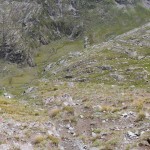 in-fondo-l'alpe-bardoney