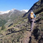 fuori-dal-bosco
