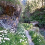 ponte-sul-torrente-loranco