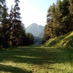 sulla-pista-e-in-fondo-la-tete-noire