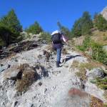 ripida-dorsale