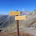 palina-quota-2622