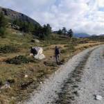bivio-quota-2228