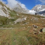 bivio-alla-fontana-e-sopra-il-rifugio-elisabetta
