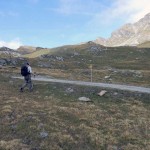 palina-quota-2516