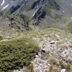il-colle-dalla-vetta