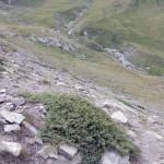 verso-il-sentiero-di-gran-vaudala