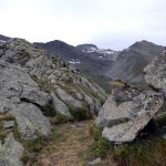 colletto-quota-2528