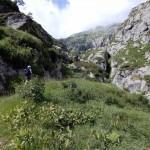 canale-di-rocce-e-erba