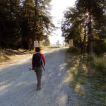 partenza