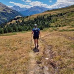 verso-il-bosco
