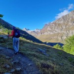 uscita-dal-bosco
