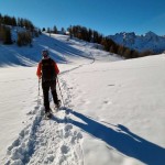verso-il-boschetto