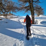 arrivo-in-vetta