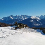 in-vetta
