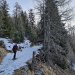 bivio-quota-1706