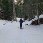 nel-bosco