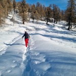 verso-il-lariceto