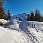 col-de-bard