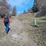 col-de-vert