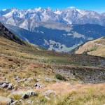 dorsale-erbosa-in-discesa