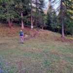 5-sentiero-dopo-il-punto-di-ristoro