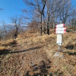 paline-alle-trincee
