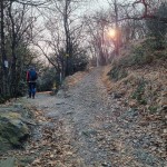 biforcazione-quota-265