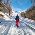 nel-lariceto
