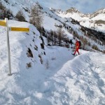 paline-quota-2288