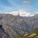 corno-bianco-a-sin-e-gruppo-del-rosa