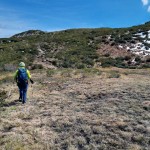 piccola-zona-paludosa