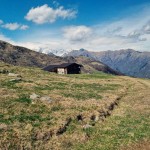 alpe-colora