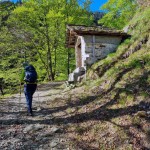 bivio-quota-955
