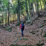 bivio-quota-1078