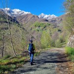 primi-saliscendi