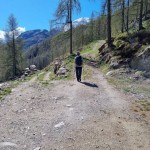 biforcazione