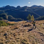 oltre-il-bosco