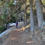 bivio-al-bosco-di-champlong