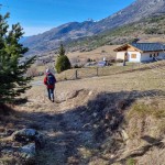 fuori-dal-bosco
