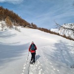 in-vista-di-menovy