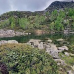 lago-bose