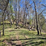 area-picnic