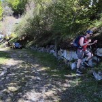 bivo-alpe-colle-inf