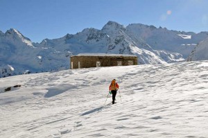 arrivando-al-ricovero